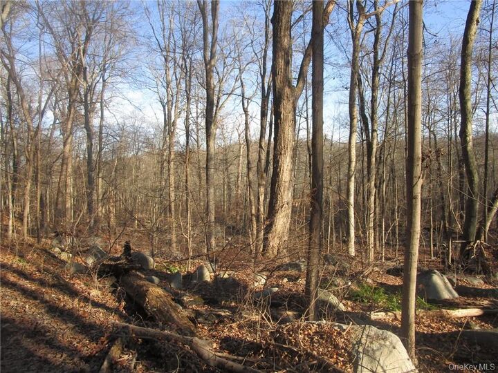 Property Photo: Brookside/Bear Mtn Parkway Avenue NY 10567