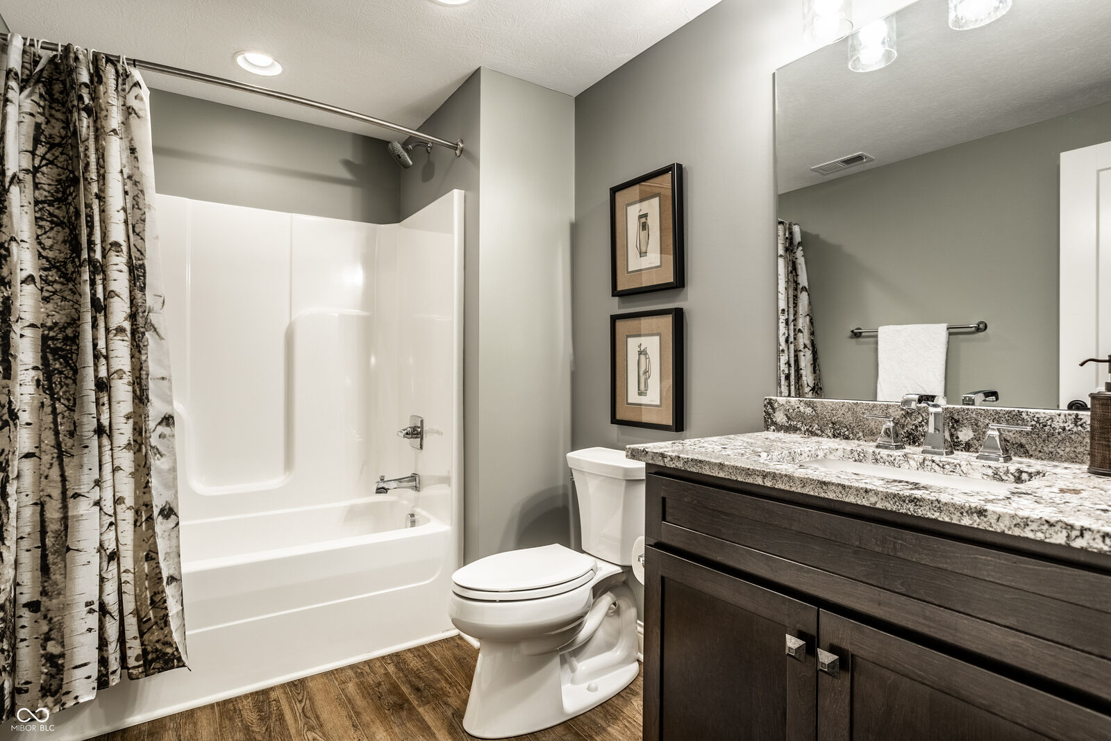 Property Photo:  12062 Hobby Horse Drive  IN 46032