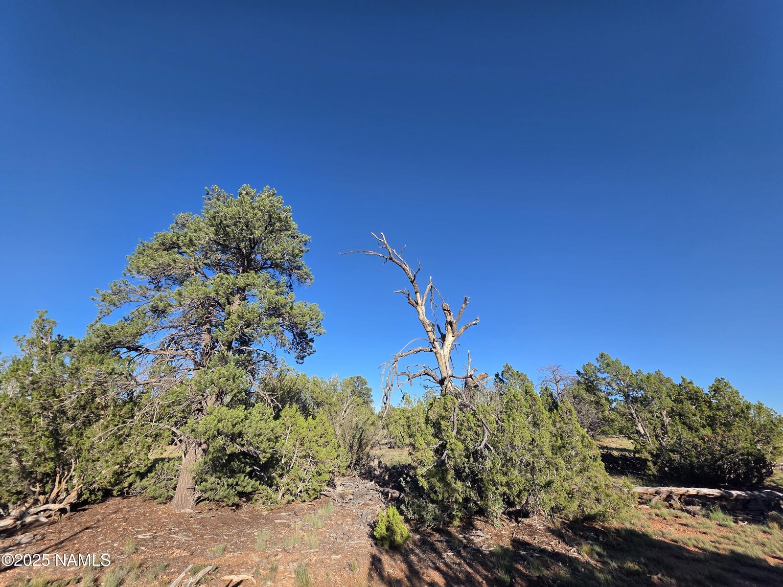 Property Photo:  #50231228A Red Butte Rd Parcel #50231228A  AZ 86046 