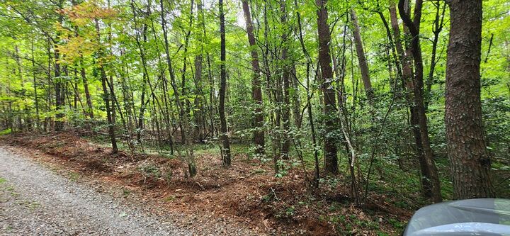 Property Photo:  Lt 14,15 Donna Lee Lane  GA 30559 