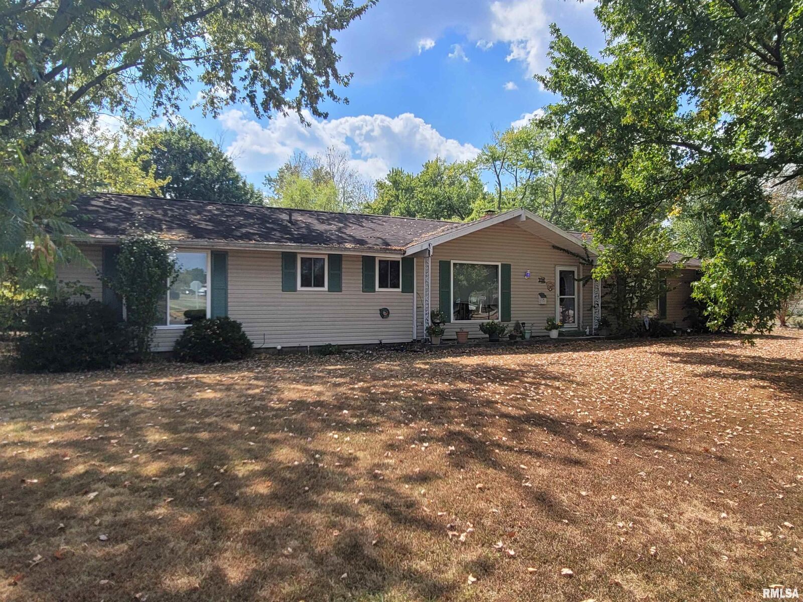 Property Photo: 1133 W Boone Street IL 62881