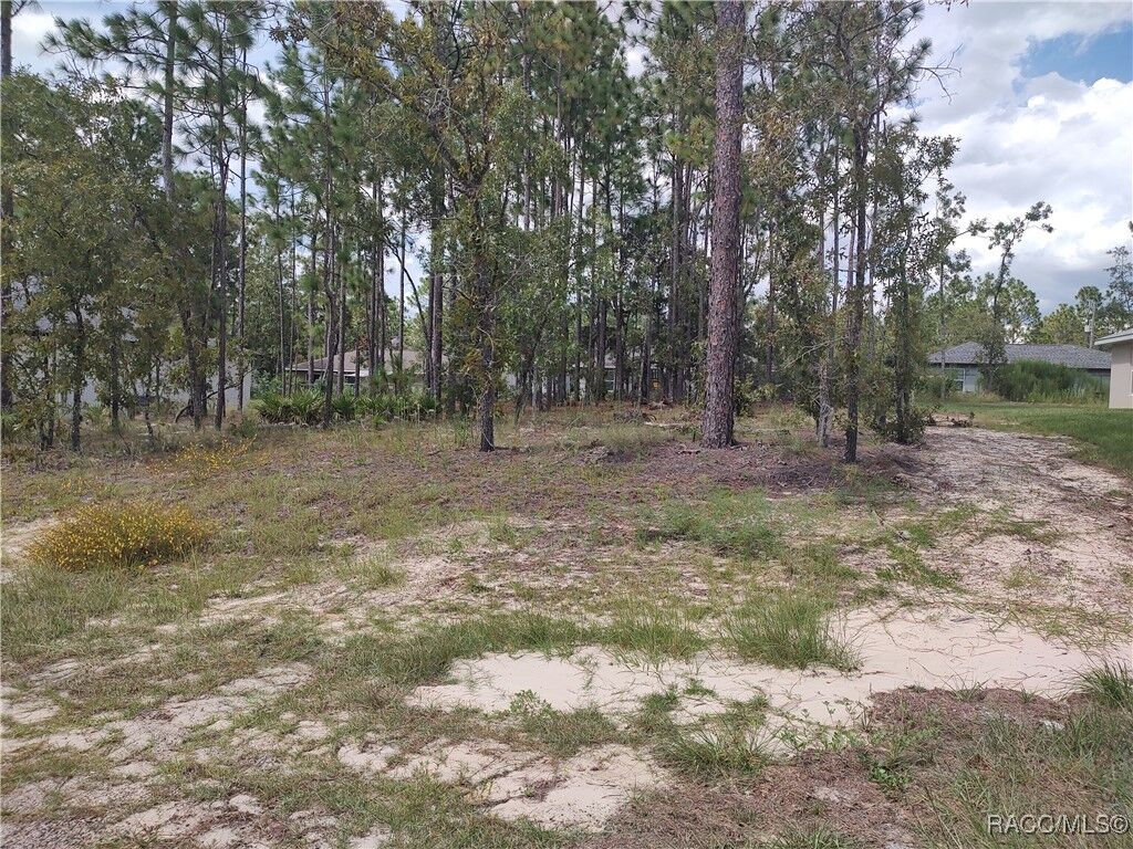 Property Photo:  1051 W Cary Drive  FL 34434 