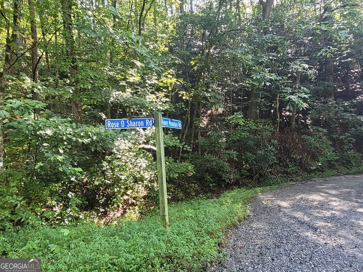Property Photo: Lot 6 Miners Mountain Road GA 30571