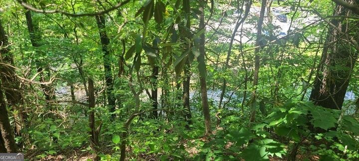 Property Photo:  0 Ber Weg  GA 30545 
