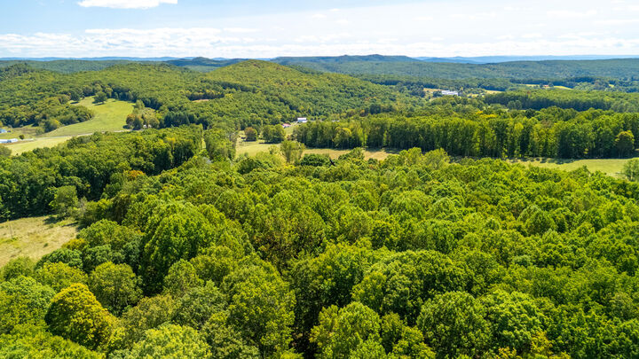 Property Photo:  589 Arbaugh Rd  WV 24901 