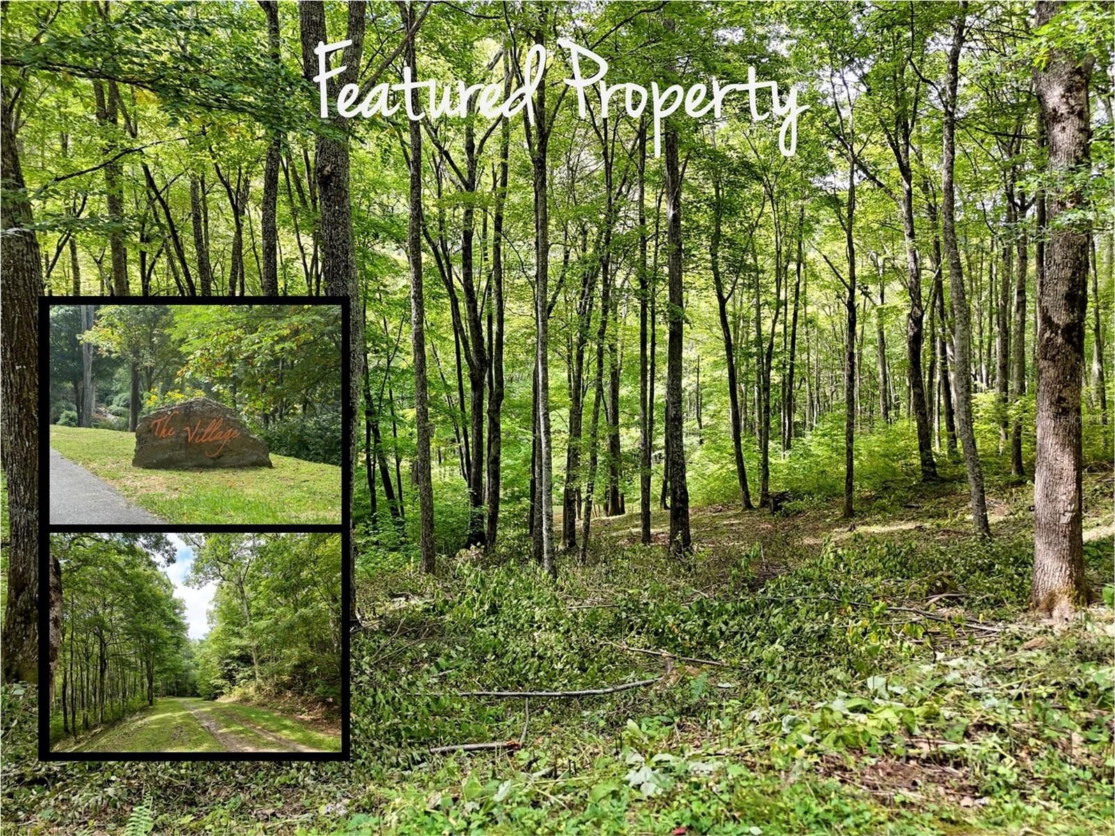 Property Photo:  Odalu Trail  NC 28751 