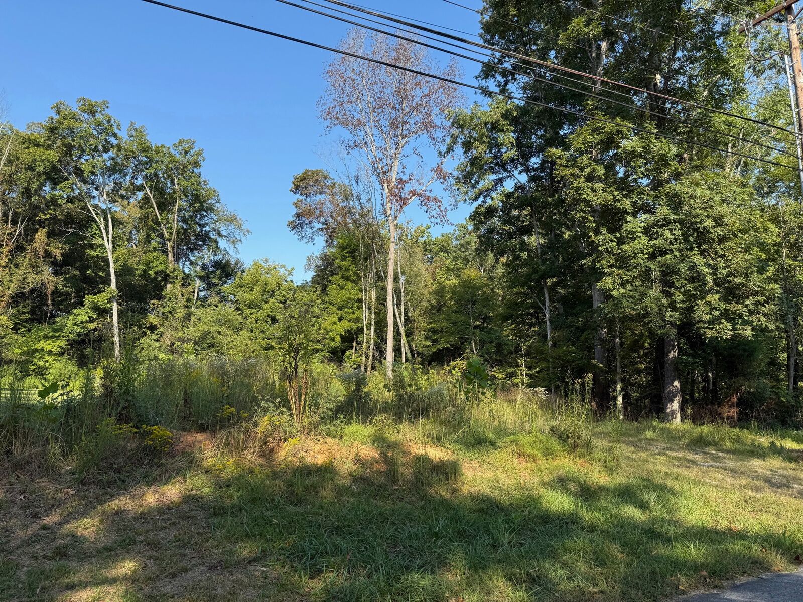 Property Photo: 0 Ovoca Rd TN 37388