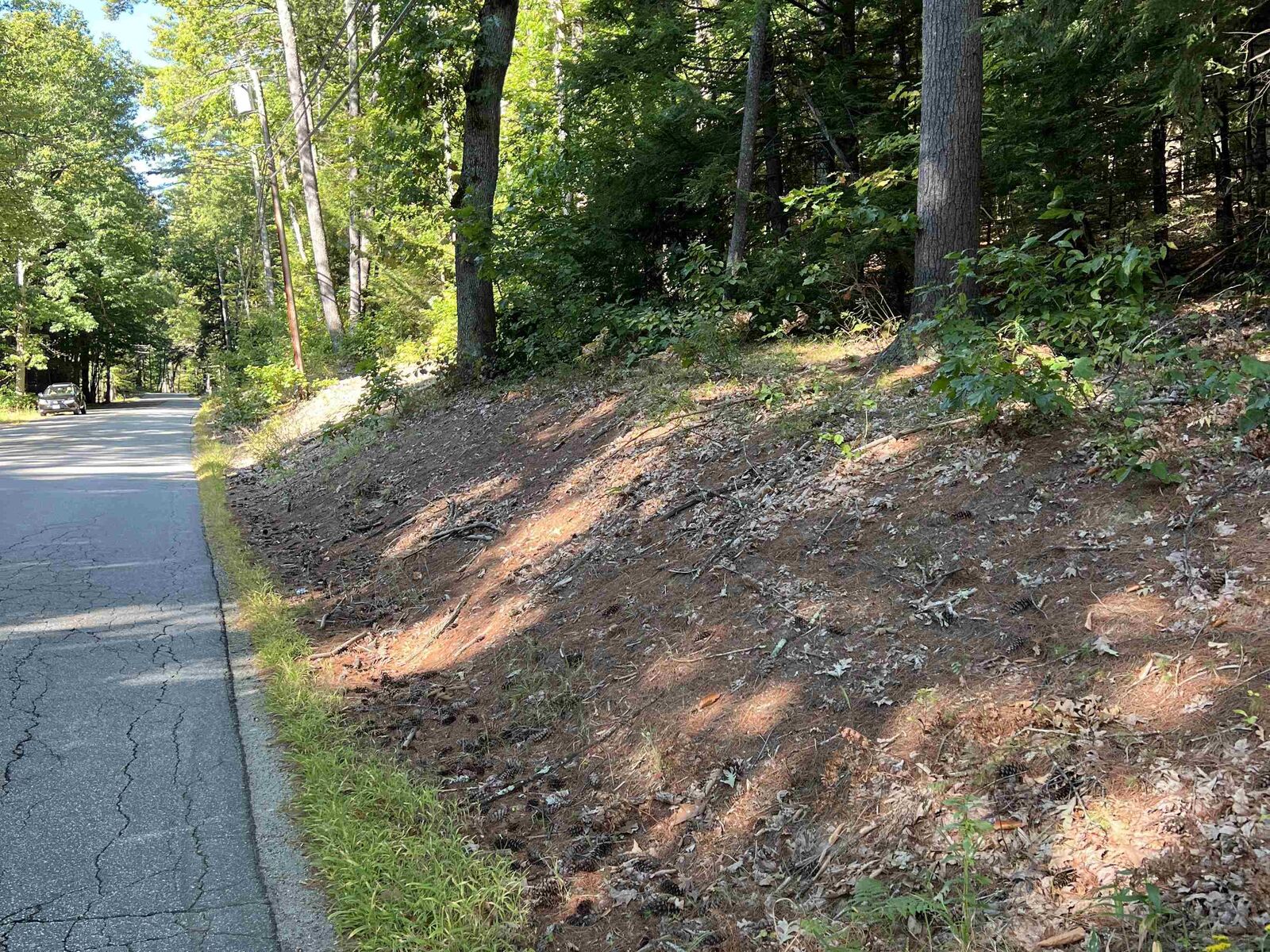 Property Photo: Pine Street NH 03229