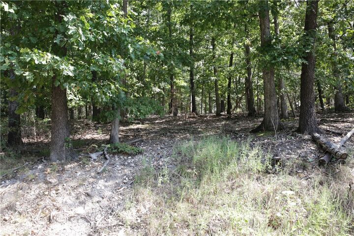 Property Photo:  Lot 11 Dickenshire Drive  AR 72714 
