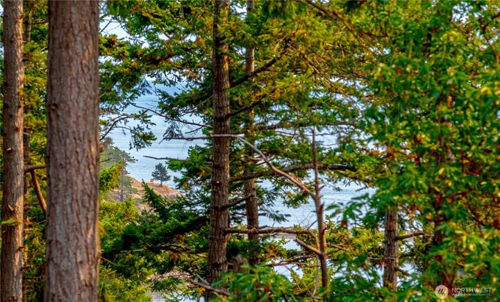 Property Photo: 863 Chinook Way WA 98221