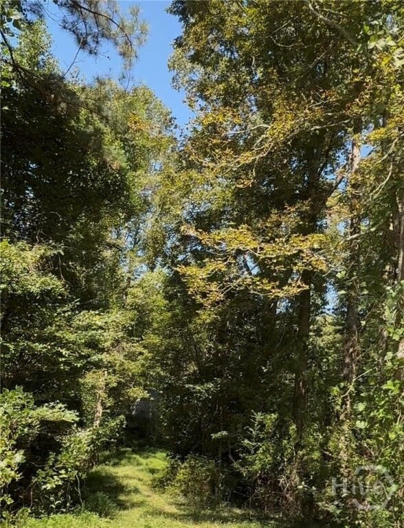 Property Photo:  404 Haggard Drive  GA 30633