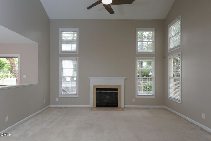 Property Photo: 203 Halls Mill Drive NC 27519
