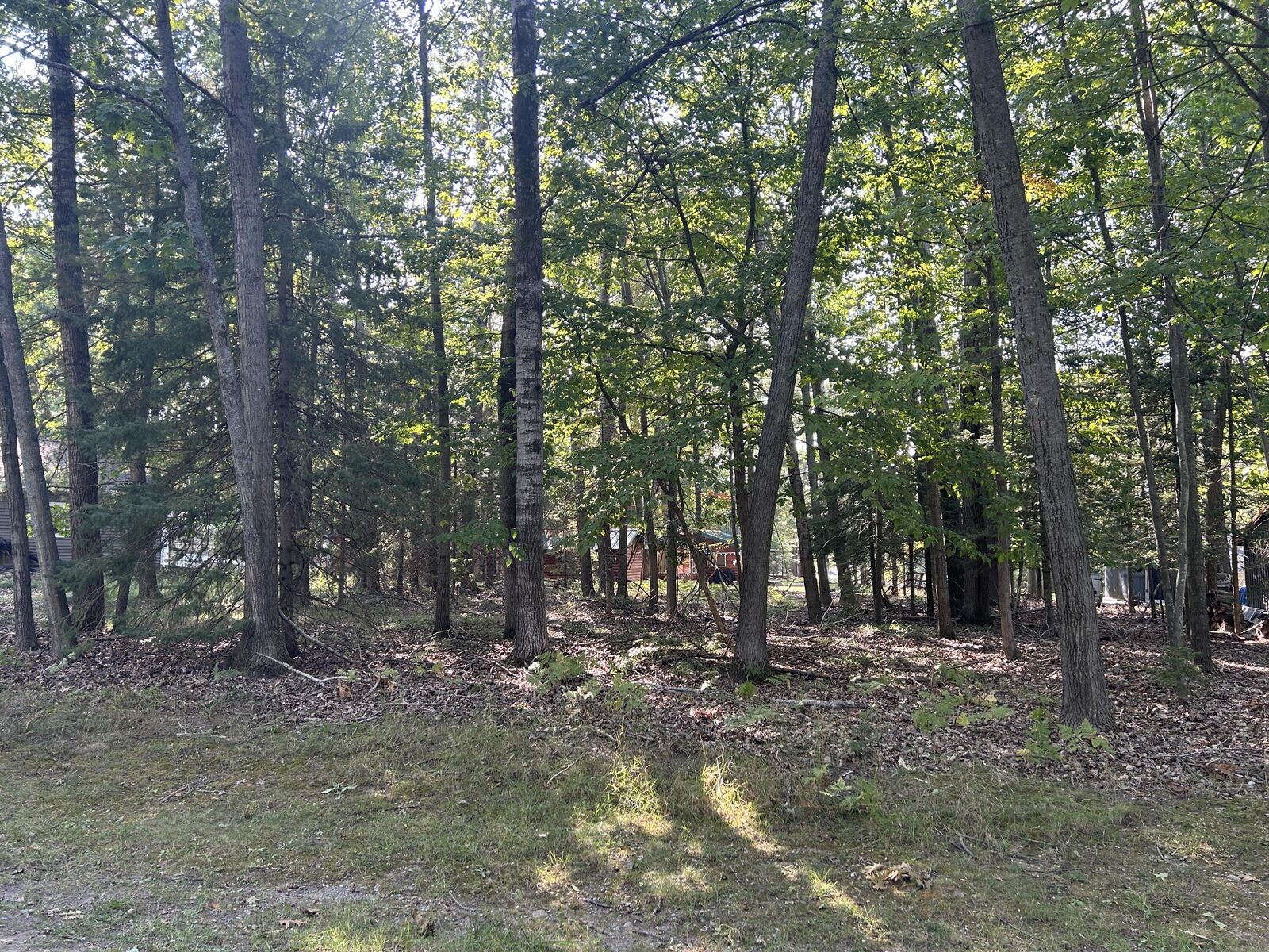 Property Photo:  V/L L16-17 North Owl Road  MI 48742 