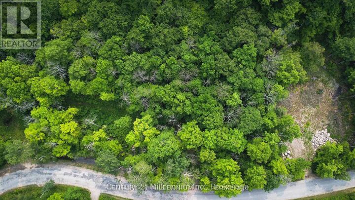 Photo de la propriété:  1963 Lot 52 Tiny Beaches Road North  ON L9M 0H8 