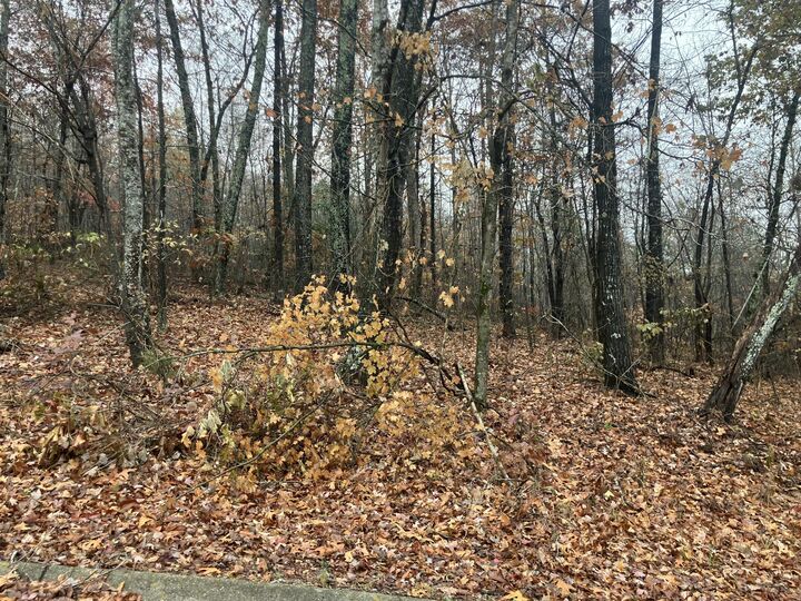 Property Photo: 5 Timber Ridge TN 37347