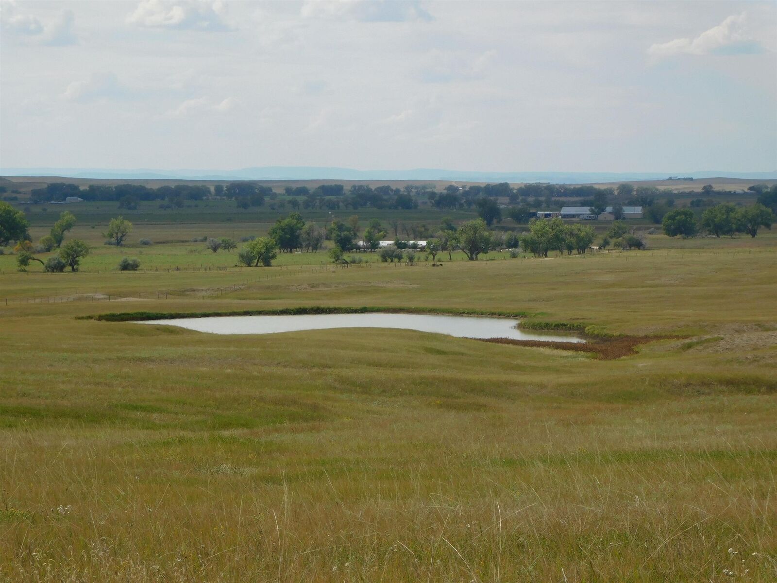 Property Photo:  Tbd Riley Road  SD 57762 