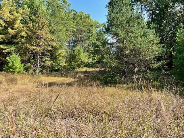 Property Photo:  0 N Centerline Road  MI 49349 