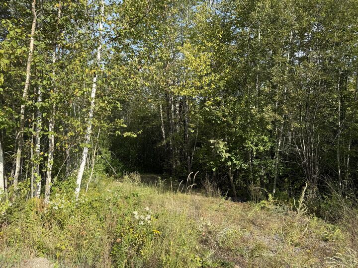 Property Photo:  11 Bowling Green Lane  ME 04915 