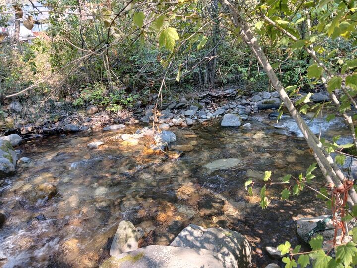 Property Photo:  48 Murphy Rd  WA 99141 