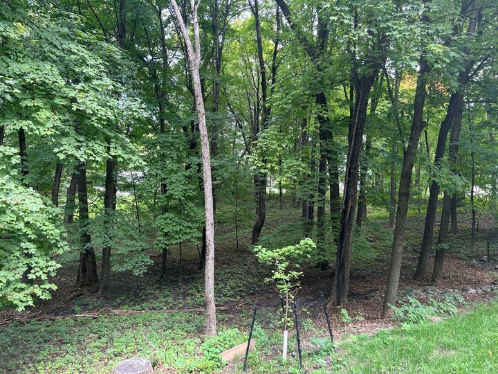 Property Photo: 1426 Holdridge Circle MN 55391