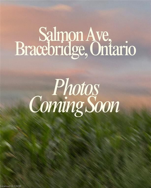 Property Photo:  N/A Salmon Avenue  ON Z1Z 1Z1