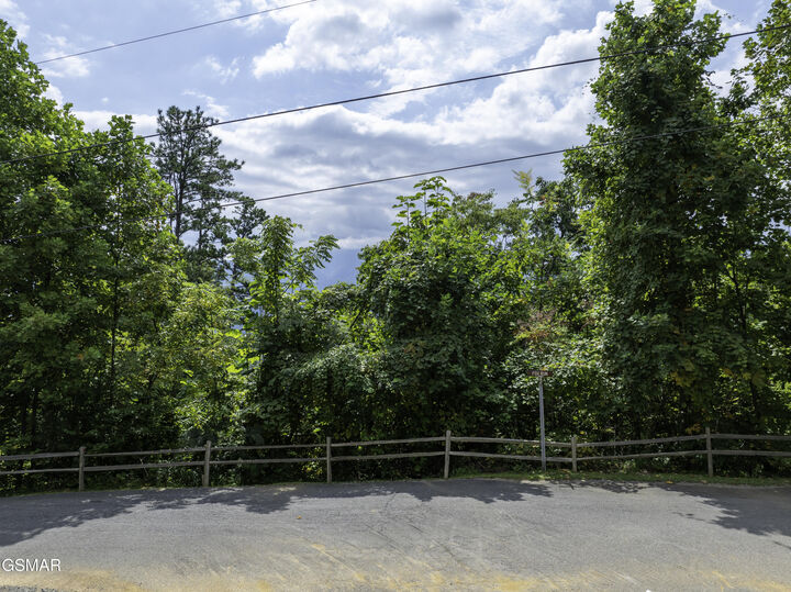 Property Photo:  Lot 30 Fox Run  TN 37738 