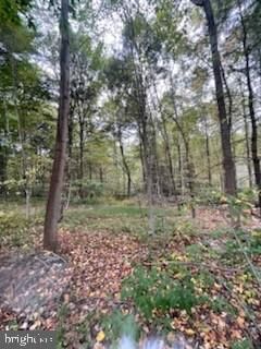 Property Photo:  Lot 5 Clouser Hollow Road  PA 17068 