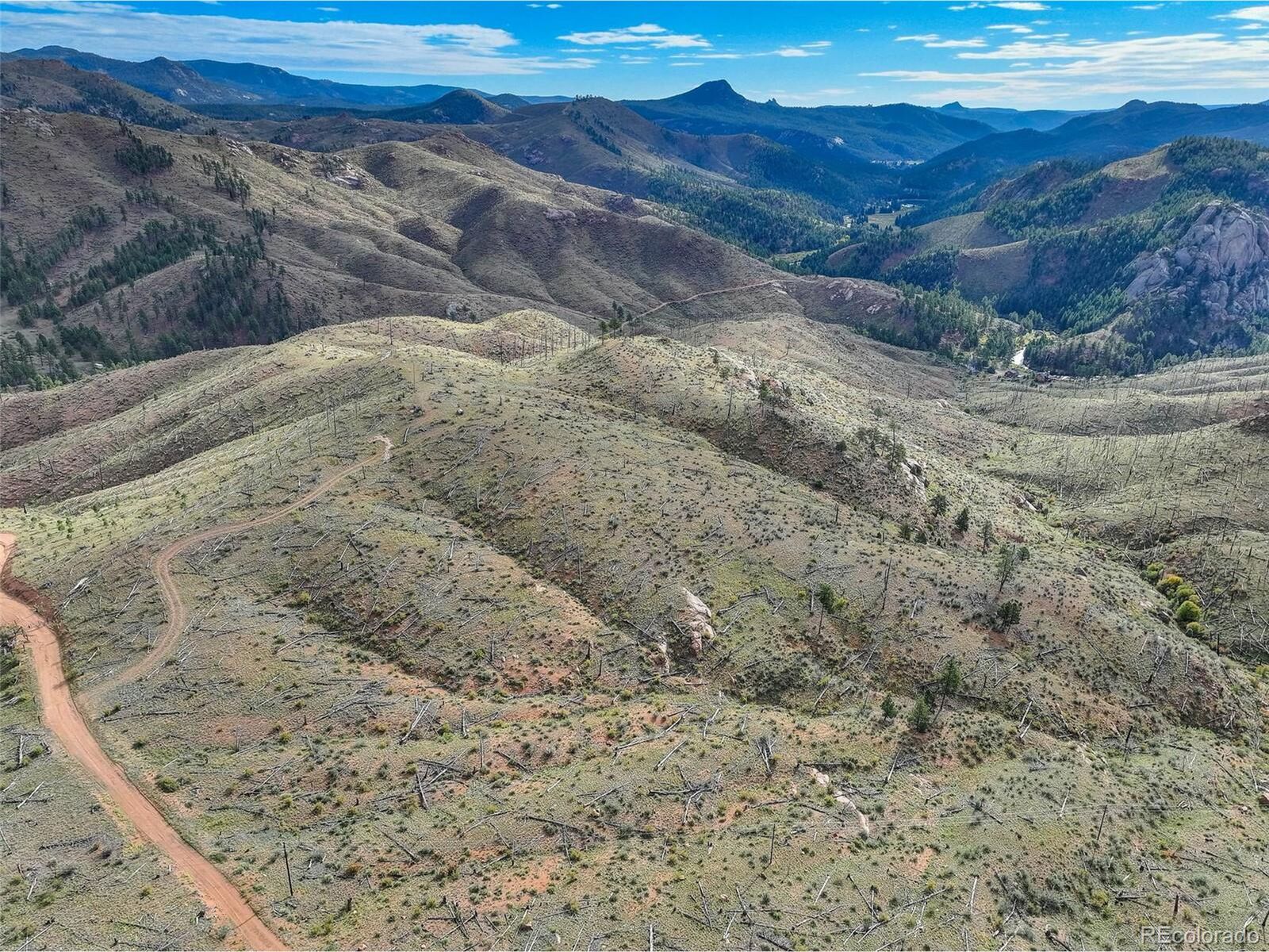 Property Photo:  770 Holmes Gulch Way  CO 80421 