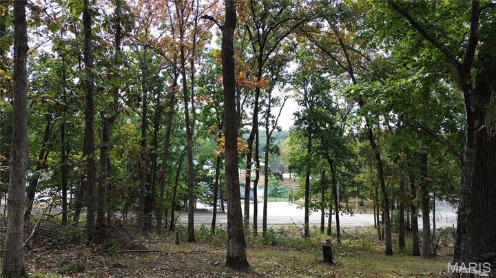 Property Photo: 2116 Marina Loop Drive MO 63775