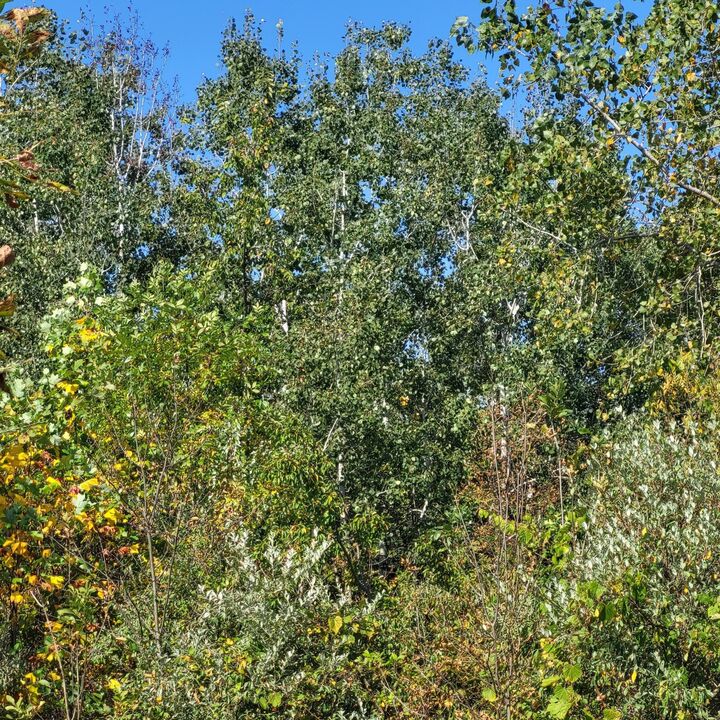 Property Photo:  18020 Hoder Road  MI 49117 