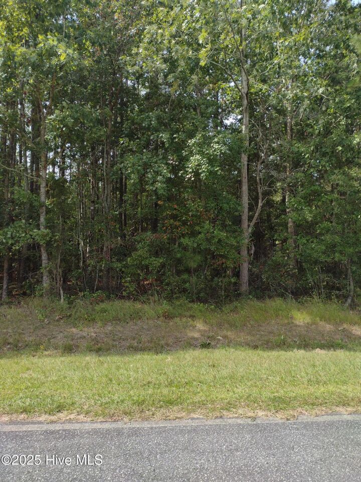 Property Photo:  33 33 Pine Crest Road  NC 27808 