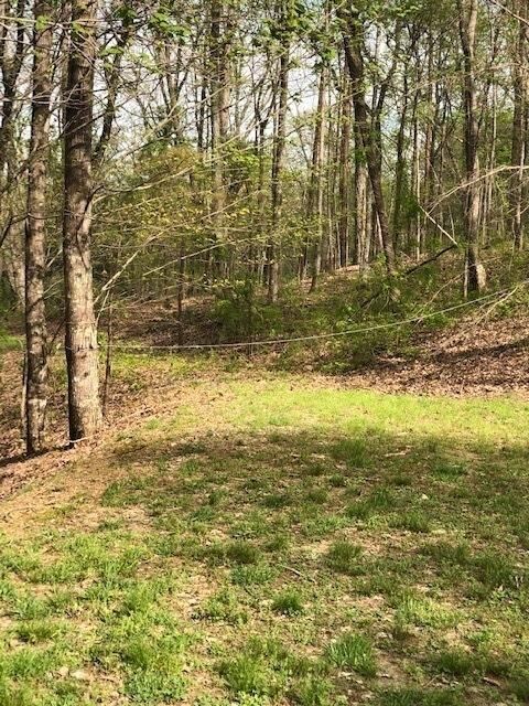 Property Photo: Lt 17B Lakeland Drive GA 30540