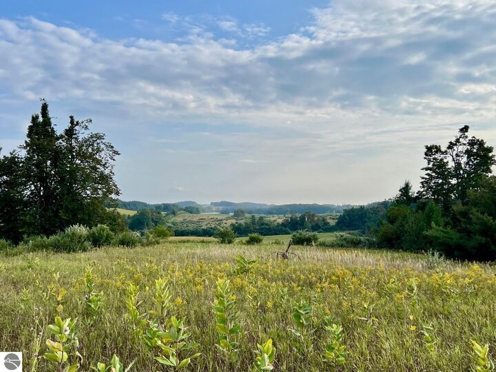 00 Skinner Road  Ellsworth MI 49729 photo