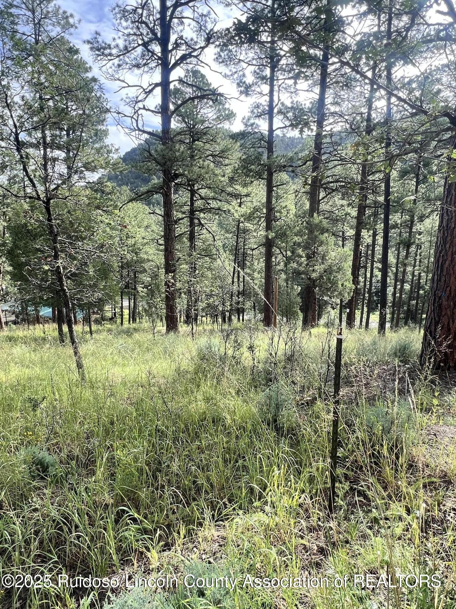 Property Photo:  106 Twin Mountain Road  NM 88345 