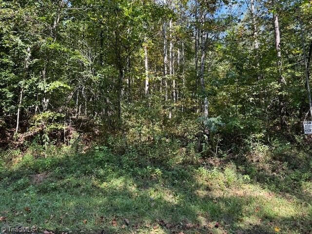 Property Photo:  8 Arlie Myers Store Road 8  NC 28649 