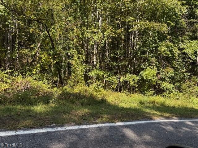 Property Photo:  4 Arlie Myers Store Road  NC 28649 