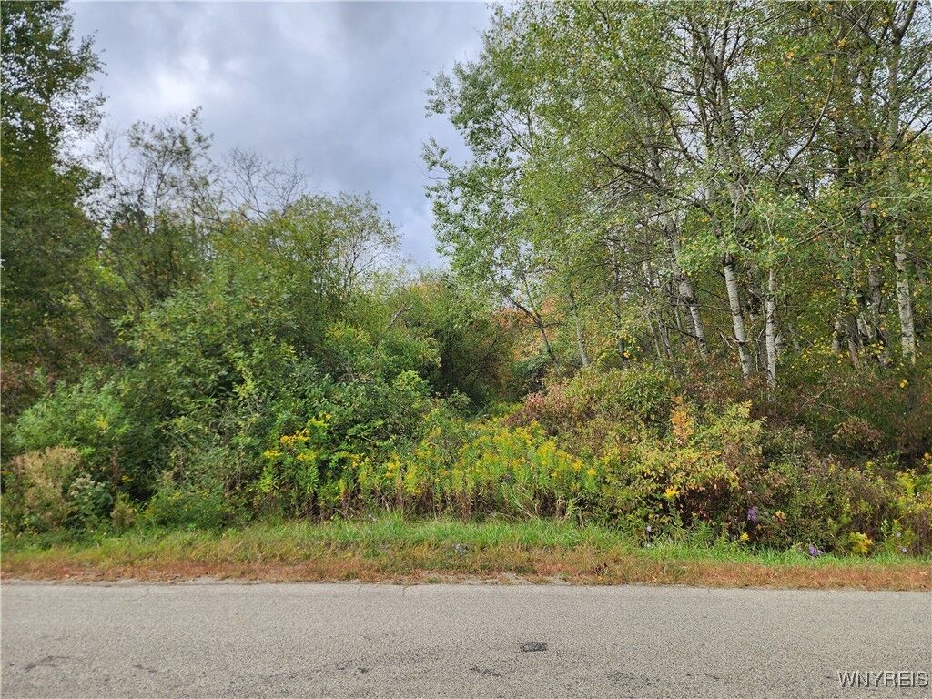 Property Photo: 0 Caswell Road NY 14772