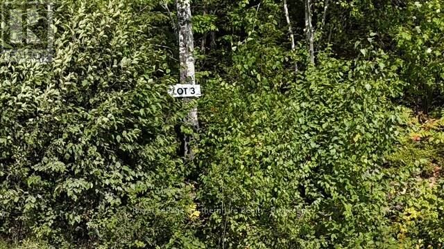 Property Photo:  Lot 3 Fox Run Drive  ON P0H 2H0 