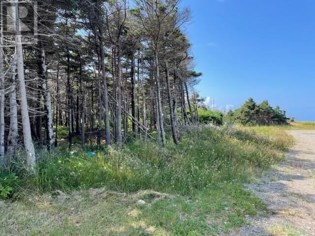 Property Photo:  13 Queen Street  NL A0N 2C0 