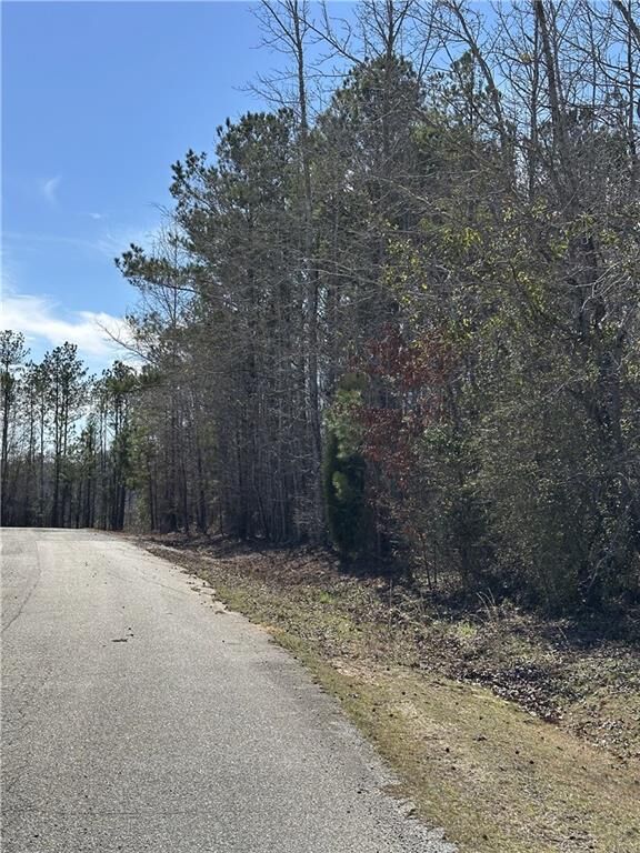 Property Photo:  0 Walt Road  AL 36869 