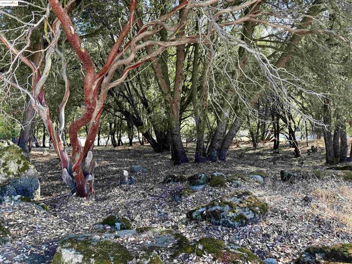 Property Photo: 21858 Phoenix Lake Rd CA 95370