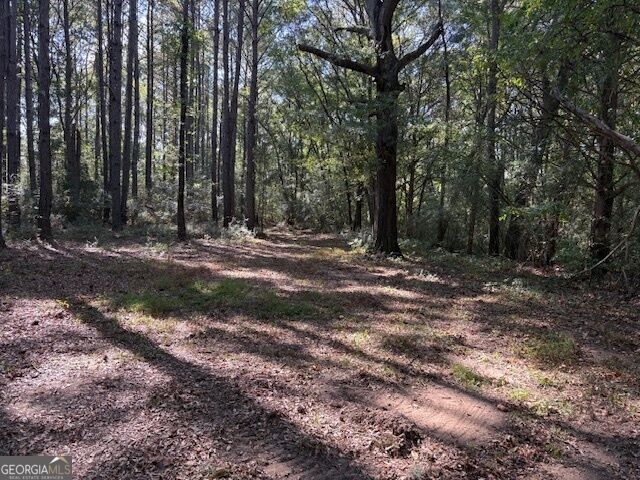 Property Photo: 0 Old Esom Hill Loop GA 30125
