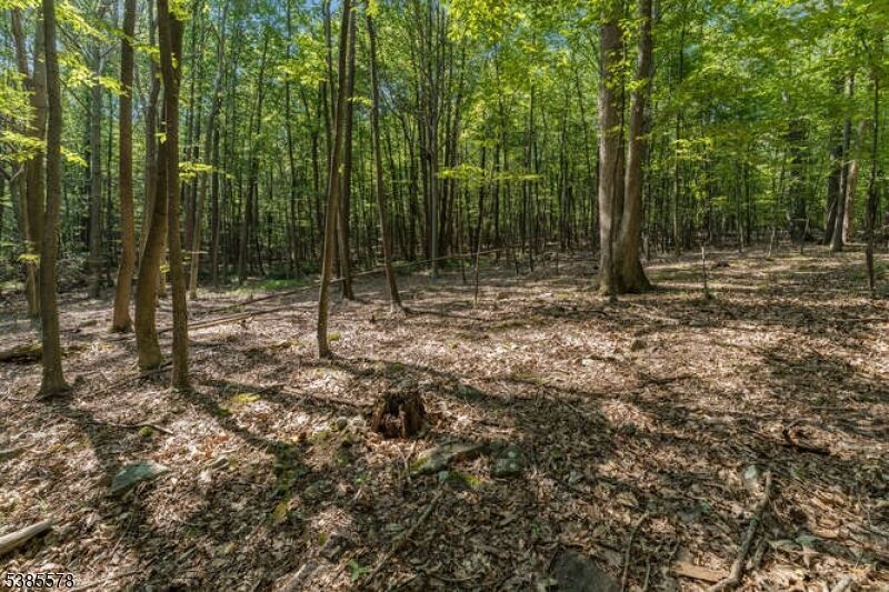 Property Photo:  68 Sanatorium Rd  NJ 08826 