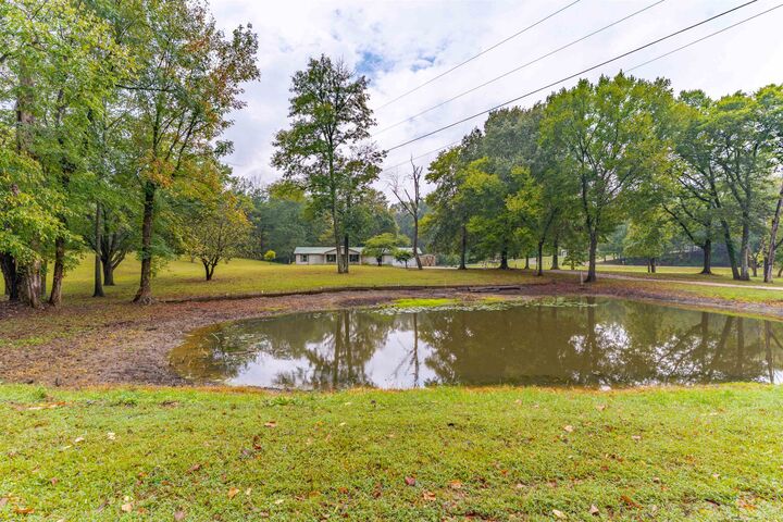 Property Photo:  8900 Martin Martin Rd  KY 42420 