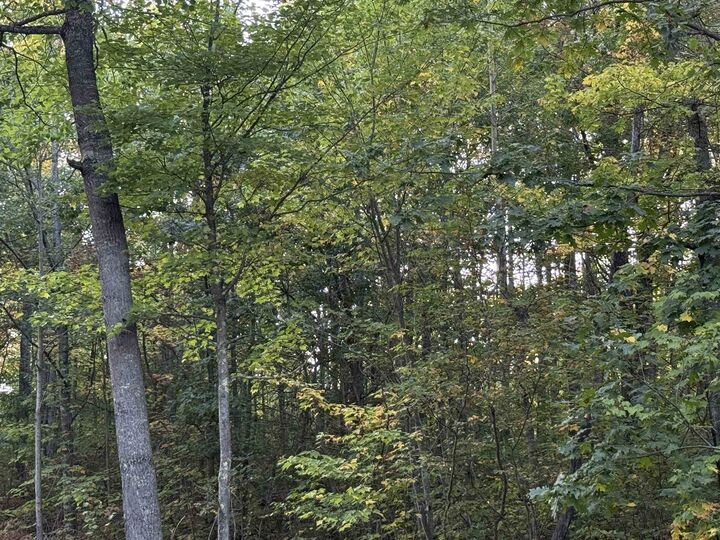 Property Photo: 000 Old Hwy 2 WI 54847