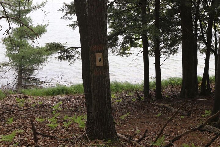 Property Photo: V/L Woods Rd MI 49615