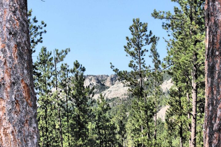 Tbd Lechner Lane  Custer SD 57730 photo