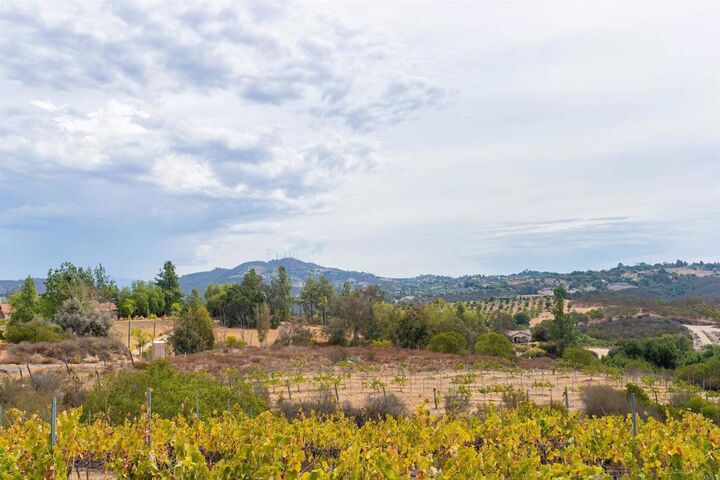 Property Photo: 1738 Via De Lago CA 92028