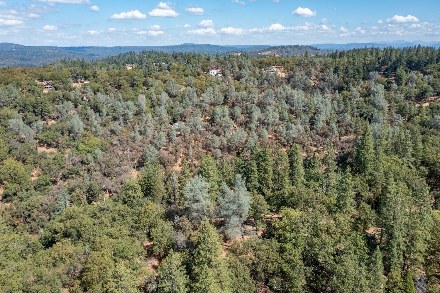 Property Photo:  19635 Wolf Creek Rd  CA 95949 