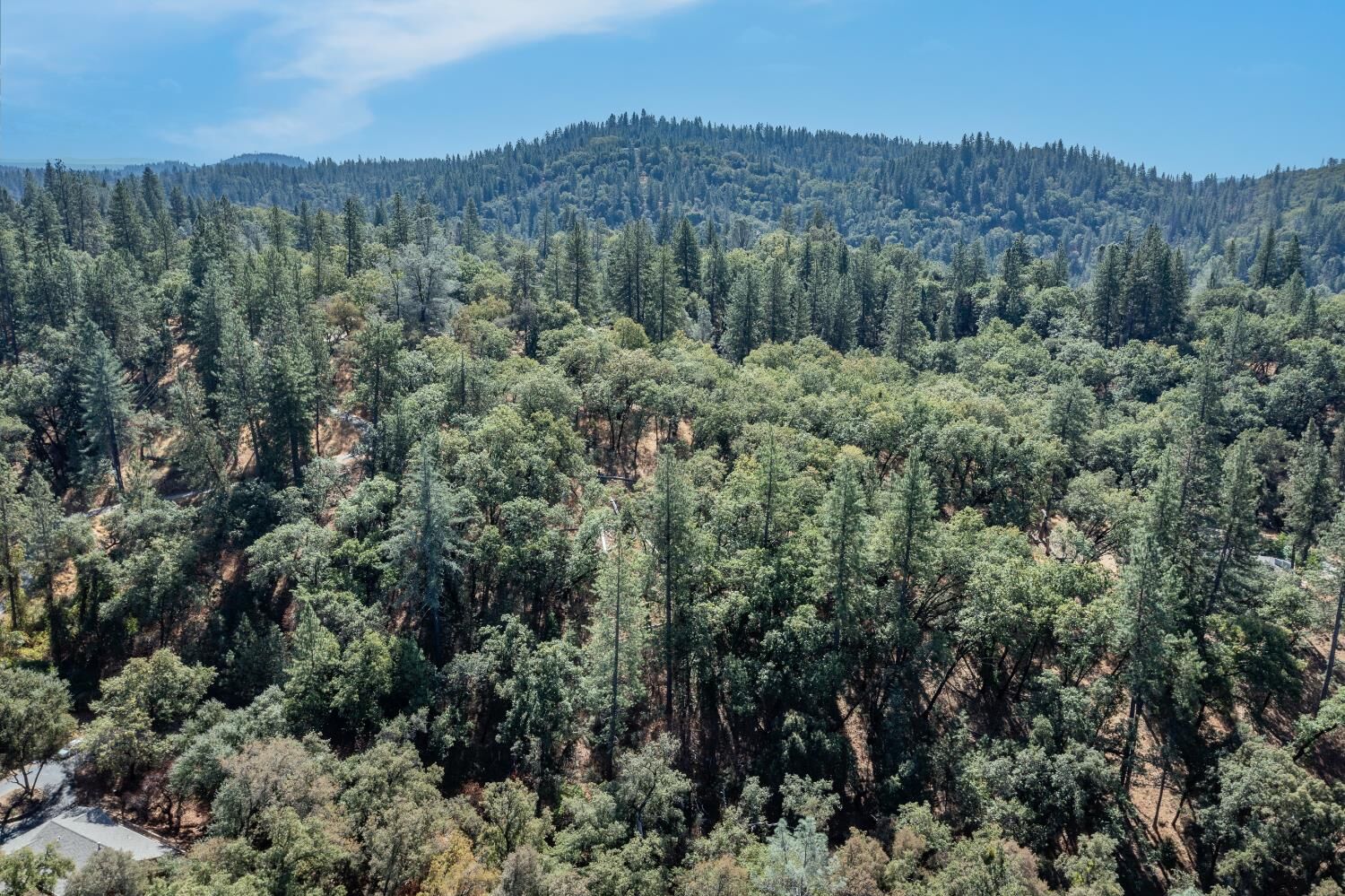 Property Photo:  19635 Wolf Creek Rd  CA 95949 
